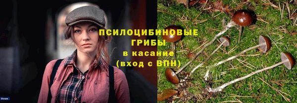 стафф Баксан