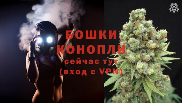 2c-b Балабаново