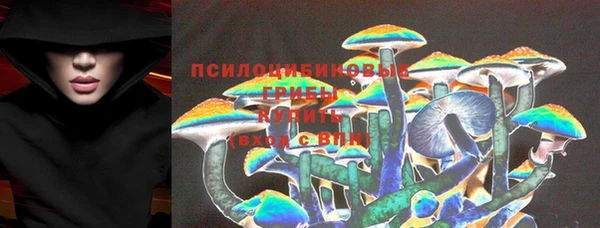 стафф Баксан