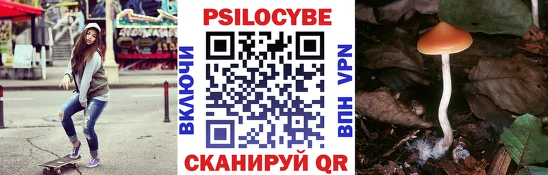 где продают   Давлеканово  Псилоцибиновые грибы MAGIC MUSHROOMS 